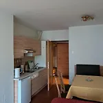 Appartementhaus Gastein Inklusive Alpentherme Gratis * באד הופגסטין