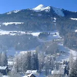 Appartementhaus Gastein Inklusive Alpentherme Gratis 巴特霍夫加施泰因