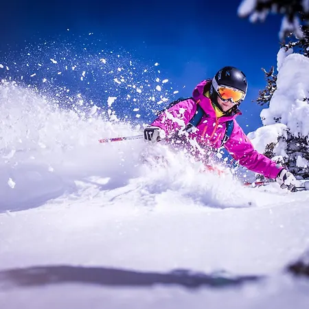 公寓 Appartementhaus Gastein Inklusive Alpentherme Gratis 巴特霍夫加施泰因