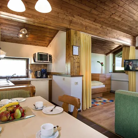 Appartementhaus Gastein Inklusive Alpentherme Gratis Apartment Bad Hofgastein